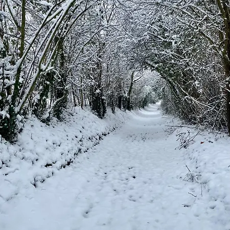 La Paix, De Charme Dans Le Bocage Normand Bed & Breakfast Conde-sur-Noireau